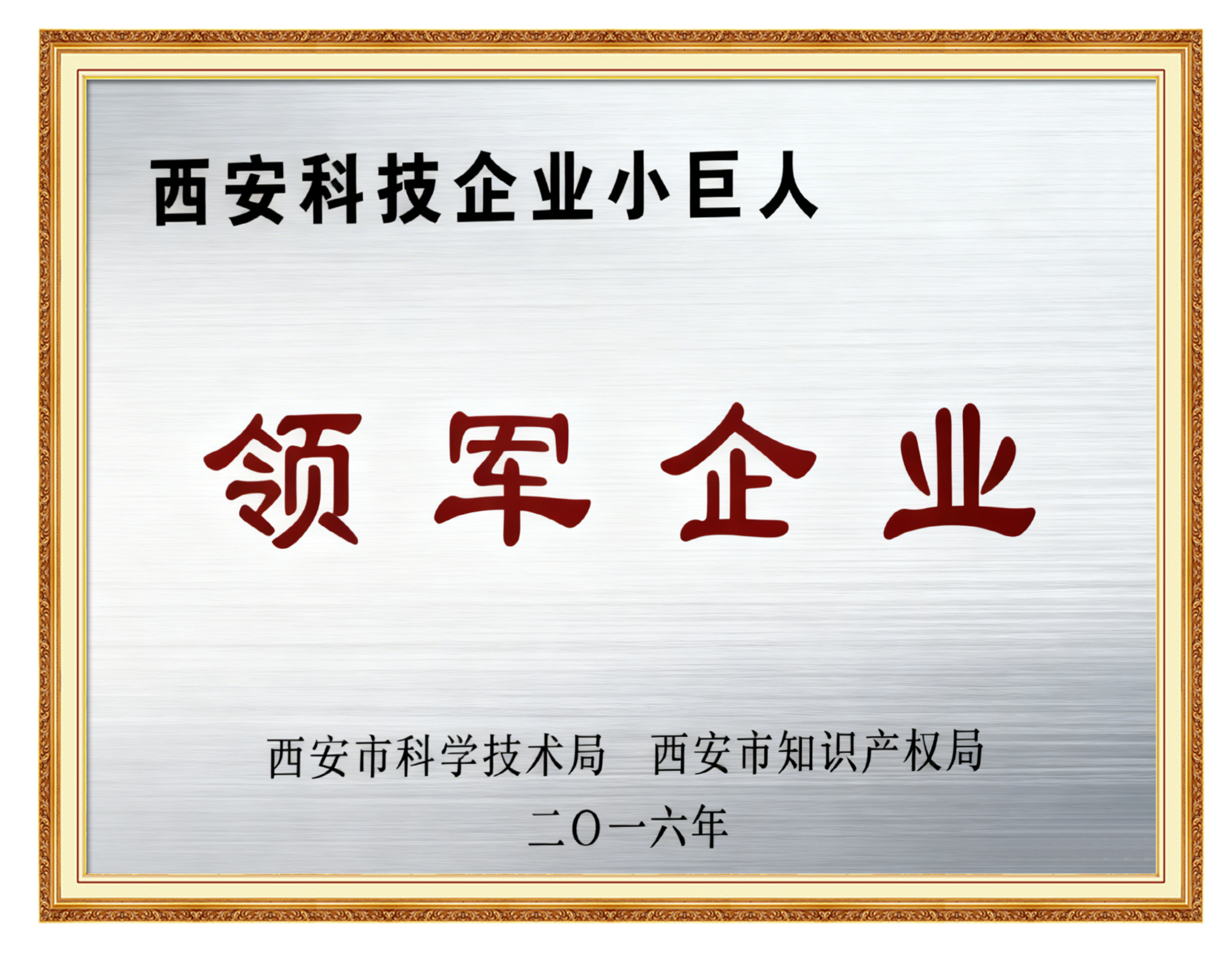 西安科技企业小巨人